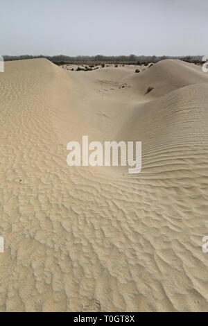 Hohl zwischen Dünen - Grabhügel - Imam Asim mazar-mausoleum-Gebiet - Taklamakan-Wüste. Hotan-Xingjiang-China-0053 Stockfoto