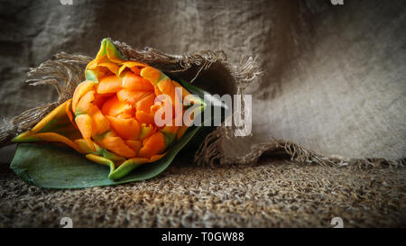 Schöne orange Tulpe mit einem leinen Servietten Stockfoto