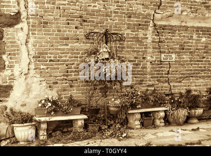 Brick Wall mit steinernen Bänken und Blumen in Sepia Stockfoto