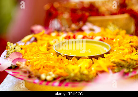 Traditionelle Haldi turmeric gehalten auf einer Blume Platte für die hinduistischen Hochzeit Stockfoto