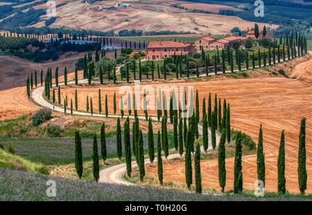 Toskana, Italien - Juli 5, 2018: Zypressen und Wiese mit typisch toskanisches Haus, Val d'Orcia, Italien - Toskana Stockfoto