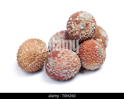 Gruppe der Faulen lychees Früchte isolierte schließen bis auf weißem Hintergrund Stockfoto