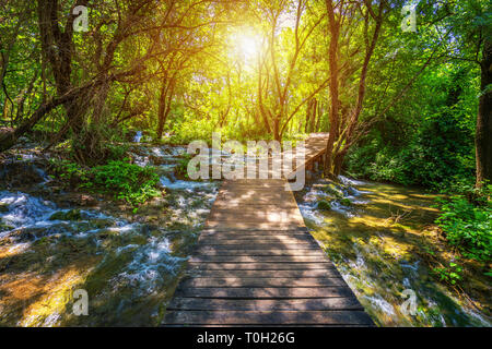 Nationalpark Krka Holz- der Weg in den tiefen grünen Wald. Farbenfrohe Sommer Szene der Nationalpark Krka, Kroatien, Europa. Holz- Weg durch die De Stockfoto