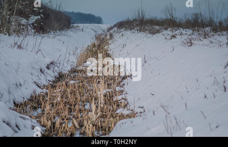 Kleine canall mit trockenen Unkräuter in es mit Schnee bedeckt Stockfoto