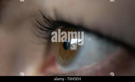 Auge einer Frau, die Seitenansicht, Reflexion eines Fensters, braune Augen, Makro schießen Stockfoto