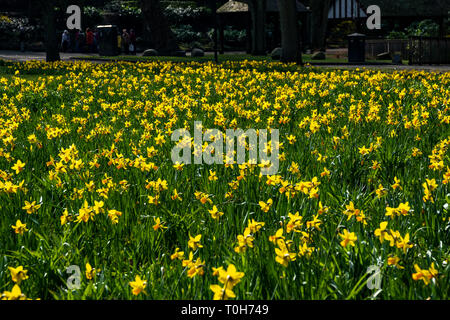 Tag in den Park Stockfoto
