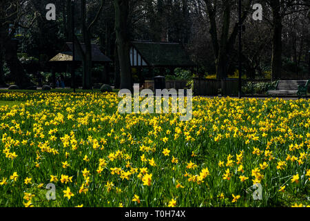 Tag in den Park Stockfoto