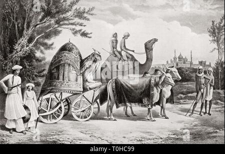 Harem Kutsche des letzten Königs von Delhi, Indien, Asien, alte vintage 1800 s Bild Stockfoto