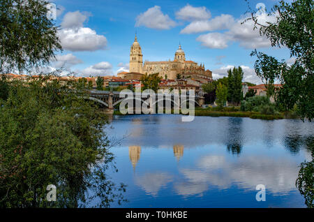 Dom am Salamanca reflektiert gesehen hinter der Brücke von Enrique esteven am Fluss Tormes, Spanien Stockfoto