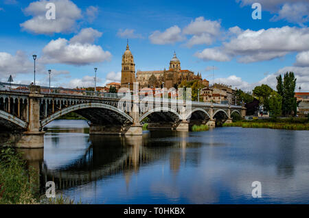 Dom am Salamanca reflektiert gesehen hinter der Brücke von Enrique esteven am Fluss Tormes, Spanien Stockfoto