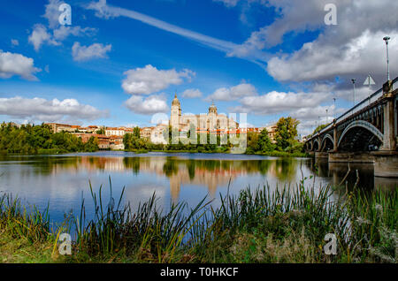 Dom am Salamanca reflektiert gesehen hinter der Brücke von Enrique esteven am Fluss Tormes, Spanien Stockfoto