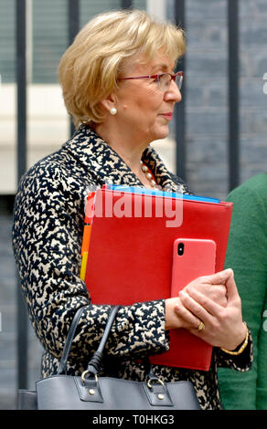 Andrea Leadsom MP (Con: South Northamptonshire) Führer des Unterhauses, 10 Downing Street nach einer Kabinettssitzung, 19. März 2019 Stockfoto