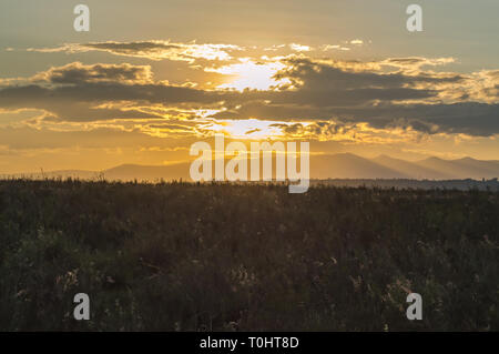 Blick auf den Sonnenuntergang über der Savanne von Nairobi Park im Zentrum von Kenia Stockfoto