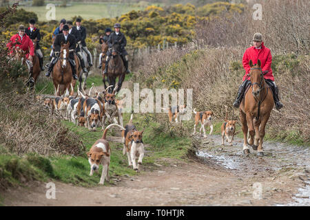 Jäger und Hunde Stockfoto