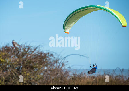 Mann Paragliding über Hunstanton Klippen auf North Norfolk Coast, East Anglia, England, UK. Stockfoto