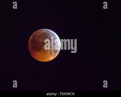 Totale Mondfinsternis von Super Blut Wolf Vollmond am 21. Januar 2019, in Sussex, England geschossen in der nördlichen Hemisphäre. Stockfoto