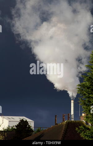 Weißer Rauch wogenden aus einer Fabrik Schornstein in der Nähe von Haus Dach und grünes Laub gegen eine ominöse Suche schwarzen Himmel. Stockfoto