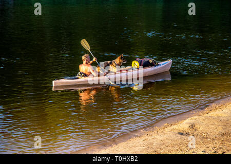 Bootfahren mit Hund. Hund im Boot. Menschen Bootfahren auf dem Fluss Gauja in Lettland, in ruhiger Natur Szene. Mit dem Boot durch den Fluss. Bootsfahrt entlang der Gauja R Stockfoto