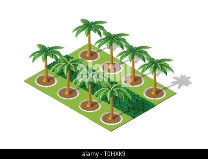 Bäume in einem Park palm Stock Vektor