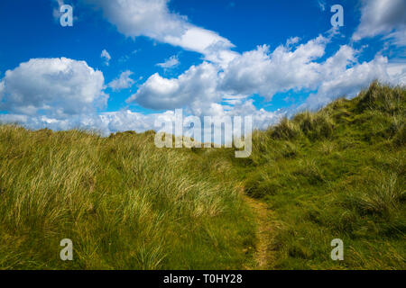 Rossbeigh, Iveragh Halbinsel, Co Kerry, Irland Stockfoto