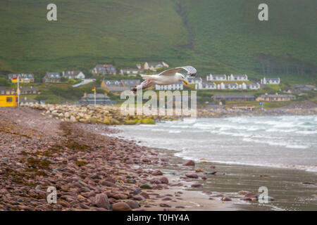 Rossbeigh, Iveragh Halbinsel, Co Kerry, Irland Stockfoto