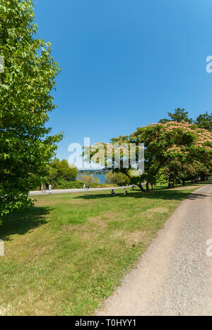 Leute, Picknicken und Spaziergang durch die grünen See in Seattle, Washington. Stockfoto