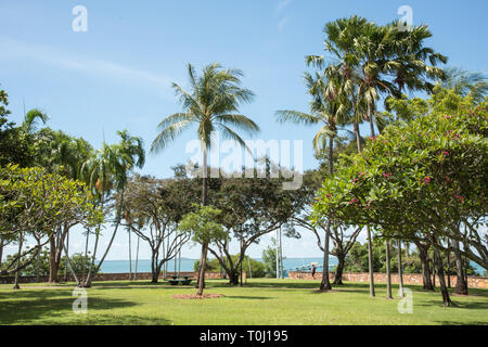 Darwin, Northern Territory, Australia-December 22,2017: Eine Person zu Fuß den Bicentennial Park Vorland weg mit Meerblick in Darwin, Australien Stockfoto