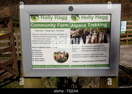 Alpaka trekking Anschlagtafel auf Display außerhalb der Holly Hagg Gemeinschaft Bauernhof in Sheffield Stockfoto