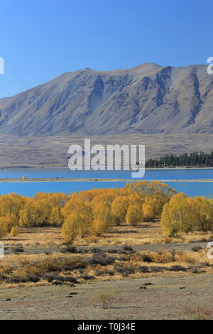 Lake Tekapo, Mackenzie Country, Canterbury, Neuseeland Stockfoto