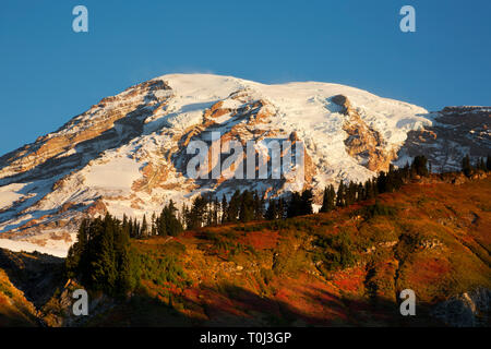 WA 15989-00 ... WASHINGTON - am frühen Morgen Licht auf Mount Rainier von Edith Creek Basin im Mount Rainier National Park. Stockfoto