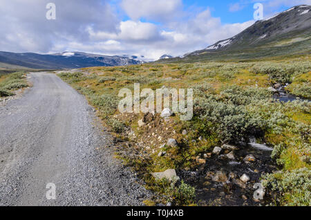 Norwegische fjaeldmark im Jotunheimen Nationalpark Stockfoto