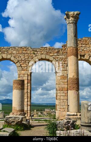 Detail der Säulen und einer mit hohen Bögen in der alten römischen Aufstellungsort von Volubilis in der Nähe von Meknes in Marokko ruinieren. Stockfoto