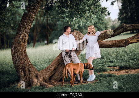 Junge Familie mit ihrem Hund an einem großen Baum. Stockfoto