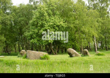 Derbyshire, Großbritannien, 03. Juni 2016: sarcen oder Standing Stones bei neun Damen Steinkreis, der Bronzezeit Denkmal auf Stanton Moor Stockfoto