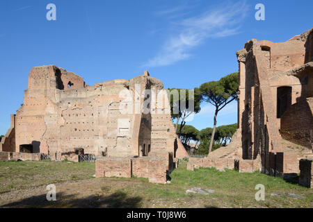 Ruinen des Severan Komplex, oder Domus Severiana, die letzte Verlängerung der kaiserlichen Palästen auf Palatin, Rom Italien Stockfoto