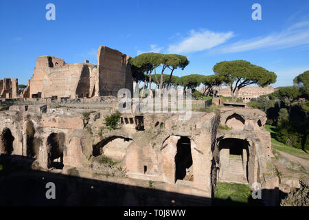 Ruinen des Severan Komplex, oder Domus Severiana, & Bäder von Septimus Severus, Teil der kaiserlichen Palästen auf Palatin, Rom Italien Stockfoto