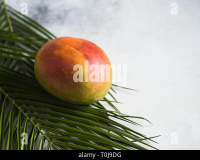 Reife rote und gelbe Mango auf Palmenblättern auf grauem Hintergrund. Stockfoto