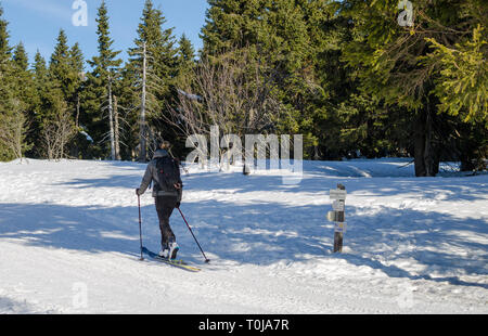 Junge Frau bewegt sich Langlauf in der Tschechischen Republik an sonnigen Wintertag. Ansicht von hinten. Stockfoto