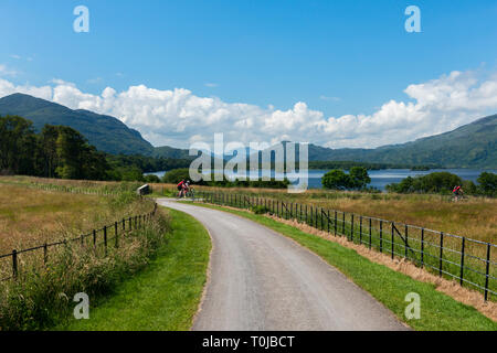 Radfahrer radeln oder radeln in Castlelough Bay, Lough Leane See im Killarney National Park, Grafschaft Kerry, Irland an sonnigen Sommertagen. Stockfoto