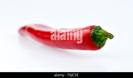 Red chili pod, Studio eintritt, rote Chilischote, Studioaufnahme Stockfoto