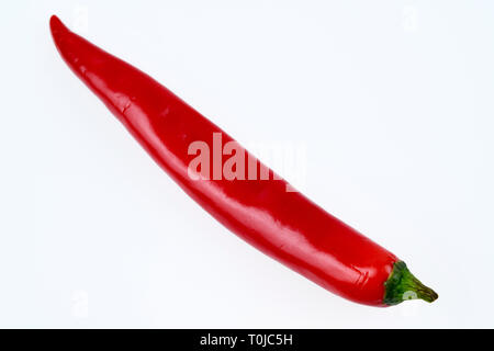 Red chili pod, Studio eintritt, rote Chilischote, Studioaufnahme Stockfoto