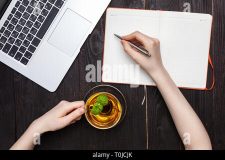 Frau Hände zeichnen oder schreiben mit Kugelschreiber in offenen Notebook Stockfoto