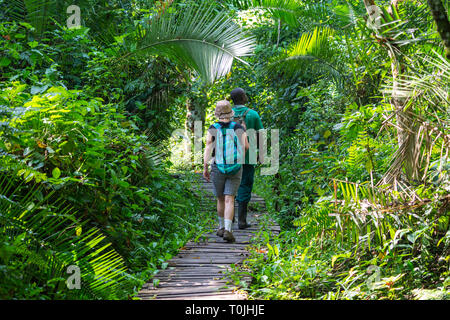 Geführte Wanderung in Bigodi Wetland Heiligtum, eine Gemeinschaft - Naturschutzgebiet im Kibale Forest National Park, South West Uganda, Ostafrika Stockfoto