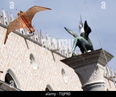 Venedig, Italien. 20 Mär, 2019. Die Drachen, die aussieht wie ein Falke während Kreisen über den Tischen des Café Todaro, in San Marco Platz, die Möwen am 20. März, 2019 in Venedig, Italien zu erschrecken. Hungriger Möwen zögern Sie nicht Touristen, Sandwiches oder Vorspeisen zu stehlen, um anzugreifen, während Sie ein Getränk an den Tischen der Cafés von San Marco Platz gesessen haben. Quelle: Andrea Merola/Erwachen/Alamy leben Nachrichten Stockfoto
