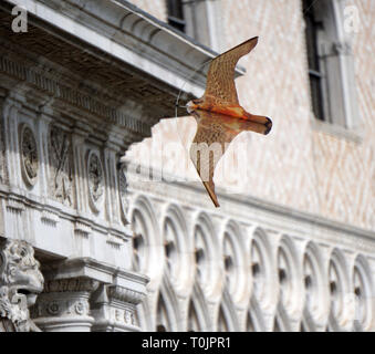 Venedig, Italien. 20 Mär, 2019. Die Drachen, die aussieht wie ein Falke während Kreisen über den Tischen des Café Todaro, in San Marco Platz, die Möwen am 20. März, 2019 in Venedig, Italien zu erschrecken. Hungriger Möwen zögern Sie nicht Touristen, Sandwiches oder Vorspeisen zu stehlen, um anzugreifen, während Sie ein Getränk an den Tischen der Cafés von San Marco Platz gesessen haben. Quelle: Andrea Merola/Erwachen/Alamy leben Nachrichten Stockfoto
