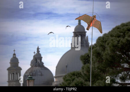 Venedig, Italien. 20 Mär, 2019. Die Drachen, die aussieht wie ein Falke während Kreisen über den Tischen des Café Todaro, in San Marco Platz, die Möwen am 20. März, 2019 in Venedig, Italien zu erschrecken. Hungriger Möwen zögern Sie nicht Touristen, Sandwiches oder Vorspeisen zu stehlen, um anzugreifen, während Sie ein Getränk an den Tischen der Cafés von San Marco Platz gesessen haben. Quelle: Andrea Merola/Erwachen/Alamy leben Nachrichten Stockfoto