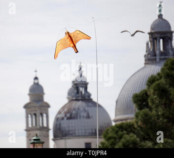 Venedig, Italien. 20 Mär, 2019. Die Drachen, die aussieht wie ein Falke während Kreisen über den Tischen des Café Todaro, in San Marco Platz, die Möwen am 20. März, 2019 in Venedig, Italien zu erschrecken. Hungriger Möwen zögern Sie nicht Touristen, Sandwiches oder Vorspeisen zu stehlen, um anzugreifen, während Sie ein Getränk an den Tischen der Cafés von San Marco Platz gesessen haben. Quelle: Andrea Merola/Erwachen/Alamy leben Nachrichten Stockfoto