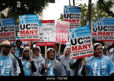 Mitglied der Universität professionelle und technische Angestellte im Streik an der UCLA Stockfoto