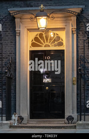 London, Großbritannien. 20 Mär, 2019. London, Großbritannien. Mittwoch, 20. März 2019. Larry, der Downing Street Katze draußen Nummer 10 Downing Street vor Theresa's Erklärung vom Mai Brexit, Kredit: Jason Richardson/Alamy leben Nachrichten Stockfoto