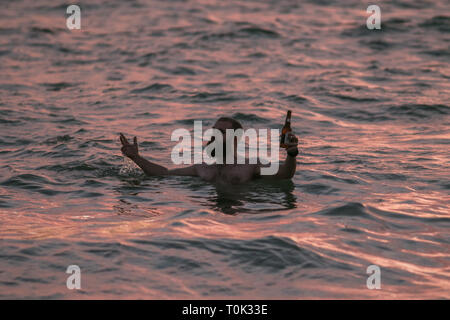 Adelaide, Australien. 21 Mär, 2019. Schwimmer im Wasser des Ozeans, die ein Toast mit Bierflaschen, wie die Sonne über Grange Strand in Adelaide Credit Sets: Amer ghazzal/Alamy leben Nachrichten Stockfoto